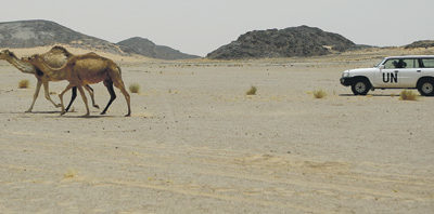 Заложники Западной Сахары